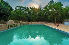 Dandeli Hill View Jungle Stay - Pool