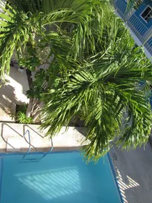 Blue Coconut Cancun Hotel - Pool