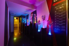 HOTEL LOVE - Réception