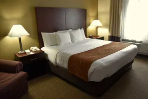 Comfort Suites Linn County Fairground and Expo - Room