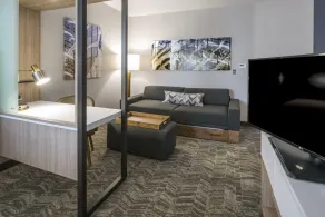 SpringHill Suites by Marriott Fishkill - Room