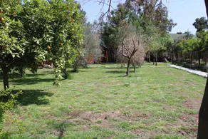 Şehri Bungalov Çıralı - Vue de la chambre