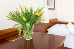 Amedia Hotel Siegen City, Trademark Collection by Wyndham - Chambre