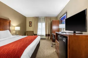 Comfort Inn & Suites Hamilton Place - Chambre