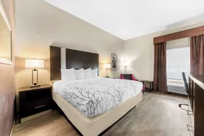 Best Western Boerne Inn & Suites - Chambre
