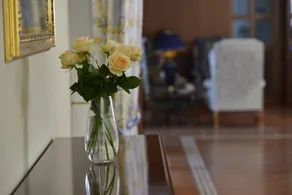Hotel Der Lindenhof - Reception