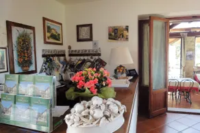 Fonte Al Noce - Reception