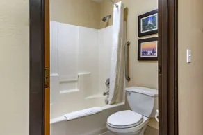 Comfort Inn & Suites Dimondale - Lansing - Bathroom