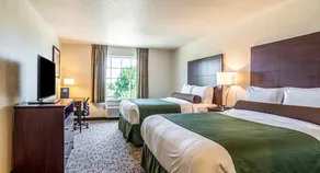 Cobblestone Hotel & Suites - Erie - Chambre
