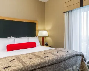 Cambria Hotel Columbus - Polaris - Chambre