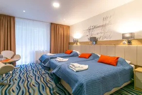 Bagińscy Spa - Room