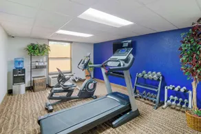 Comfort Inn Asheville Airport - Salle de remise en forme