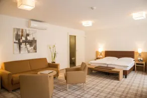 Central City Hotel Rochat - Room