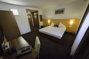 Domačija Vodnik & Apartments - Værelse