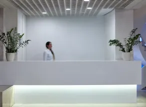 Amarilia Hotel - Réception