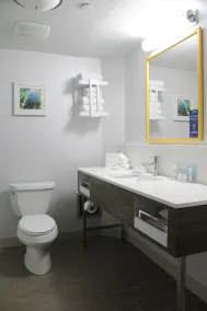 Hampton Inn Lacrosse/Onalaska - Salle de bain