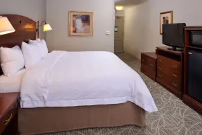 Hampton Inn by Hilton Litchfield - Room