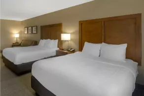 Comfort Inn & Suites Peachtree Corners - Norcross - Chambre