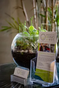 Geraldton's Ocean West Holiday Units & Short Stay Accommodation - Reception