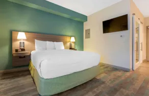Extended Stay America Premier Suites - Greenville - Woodruff Road - Chambre