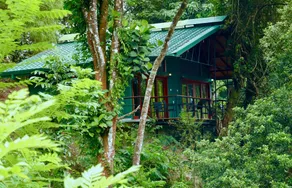 Paradise Eco Garden - Room
