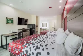 Regency Inn & Suites Humble FM1960 - IAH Airport - Chambre