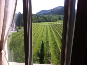 Corte San Ruffillo Country Resort - Utsikt fra rommet