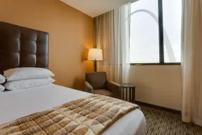Drury Plaza St. Louis at the Arch - Vue de la chambre
