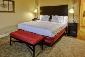 Hampton Inn Jacksonville-Anniston Area - Rum