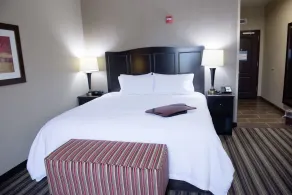 Hampton Inn & Suites Hope - Rum