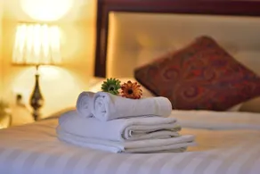 Hotel Shumon - Habitación