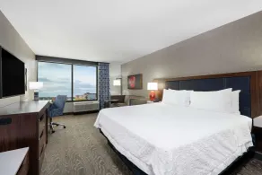 Hampton Inn & Suites Fort Wayne Downtown - Rum