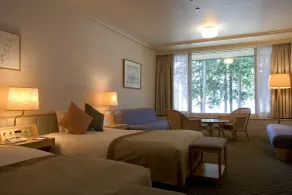 The Prince Hakone Lake Ashinoko - Room