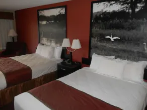 AmeriStay Inn St Joseph - Chambre