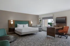 Hampton Inn & Suites Dallas Arlington N Entertainment Dist. - Rum