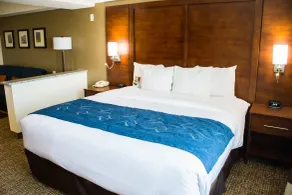 Comfort Suites El Paso Airport - Chambre