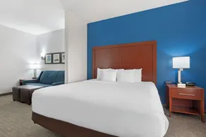 Comfort Suites DFW N-Grapevine - Habitación