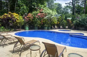 Selva Verde Lodge - Piscine