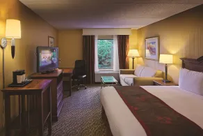 DoubleTree by Hilton Asheville - Biltmore - Chambre