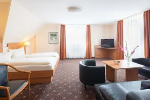 Maximilian Hotel & Apartments Weil am Rhein / Basel - Room