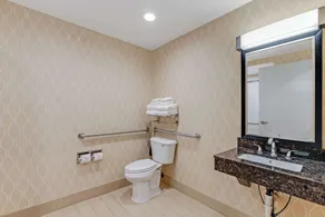 Comfort Suites Chesapeake - Norfolk - Chambre