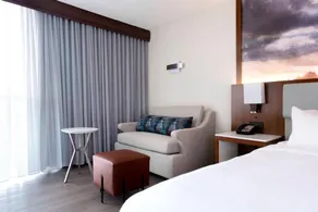 Greensboro-High Point Marriott Airport - Chambre