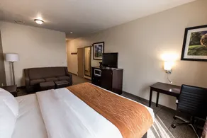Comfort Inn & Suites Paw Paw - Rom