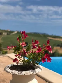 B&B Casa Fanny - Piscine