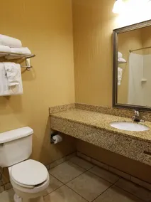 Comfort Inn & Suites Blytheville - Salle de bain