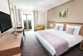 Hotel Premier Aqua Adults Only - Fruške Terme - Room