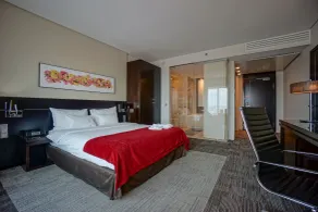 Andersia Hotel & Spa Poznan, a member of Radisson Individuals - Room
