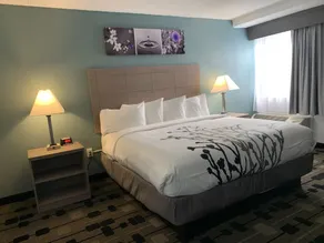 Sleep Inn Terre Haute University Area - Chambre