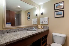 Comfort Suites Foley - North Gulf Shores - Salle de bain