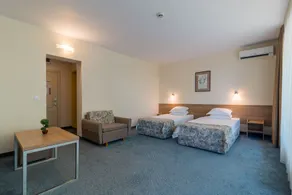 BSA Gradina Hotel All Inclusive - Room
